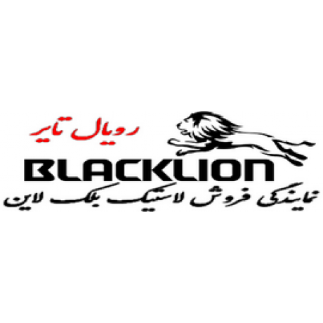 بلک لاین مدل BD175 (گل عقب) سایز 315/80R22.5
